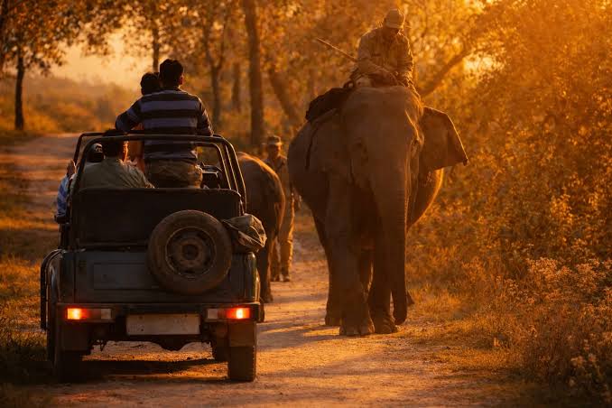 Jeep Safari in Kaziranga National Park
